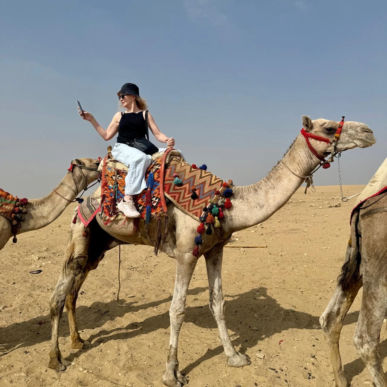 Cairo Day tour to the Pyramids of Giza